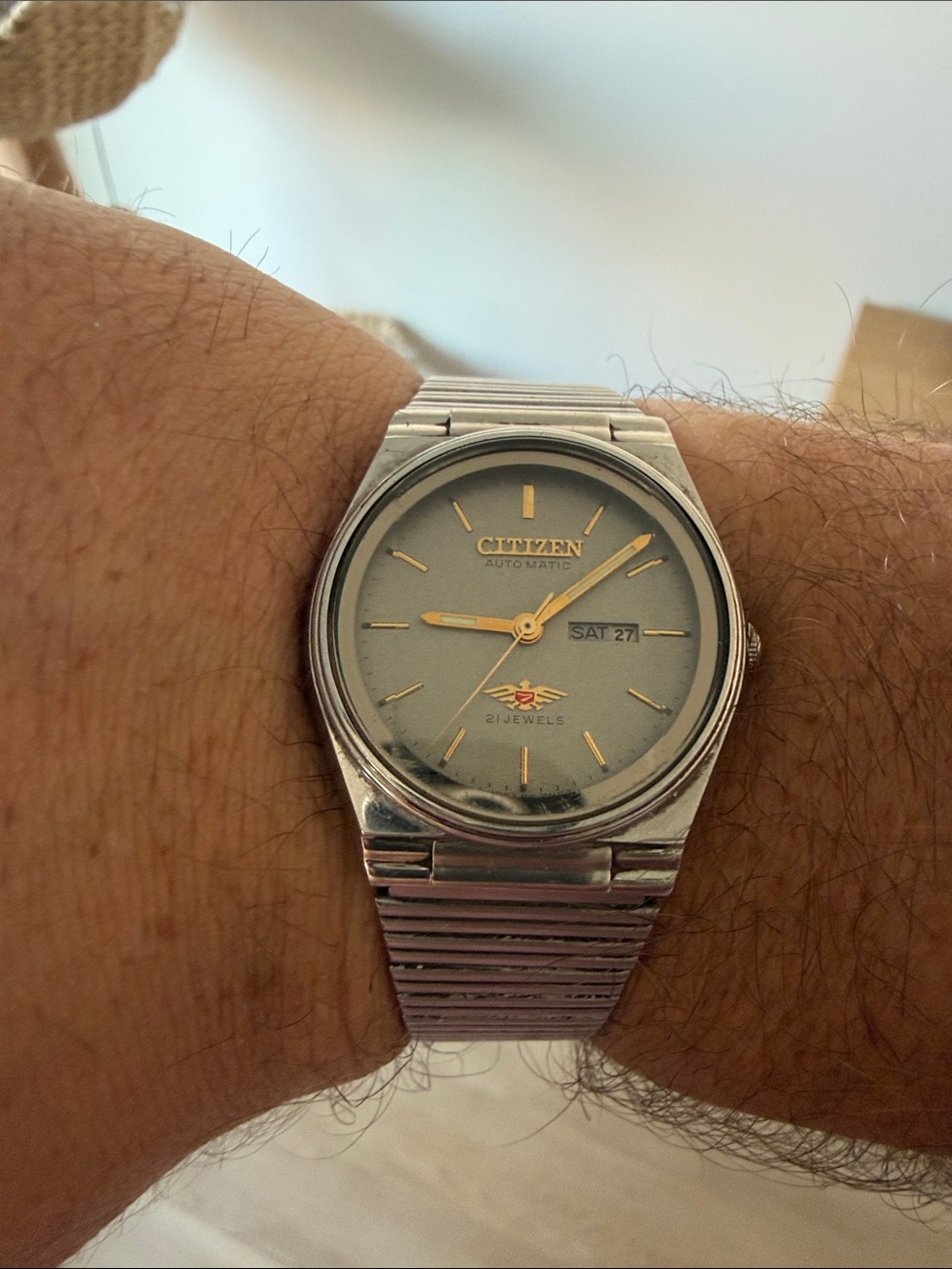 Citizen Silver Watch with Gray Dial